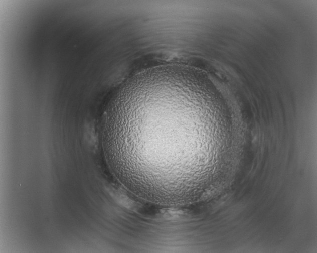 X0000069800607200605261724