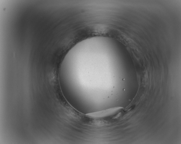 X0000069800608200605261724