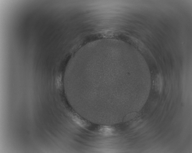 X0000069800610200605261724