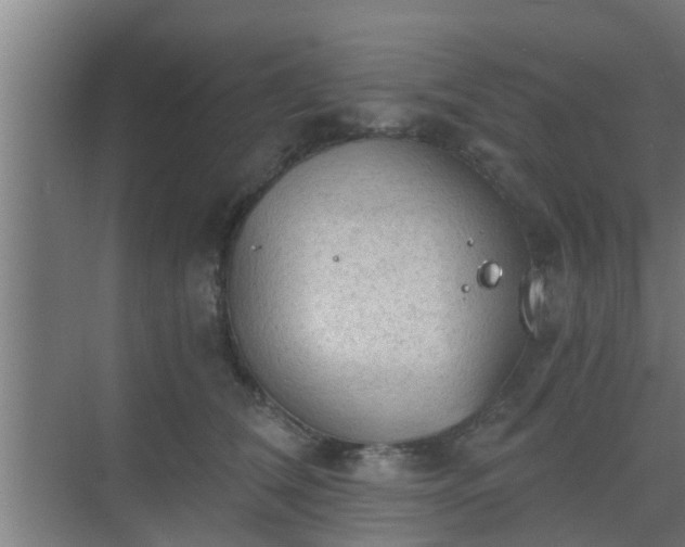 X0000069800612200605261724