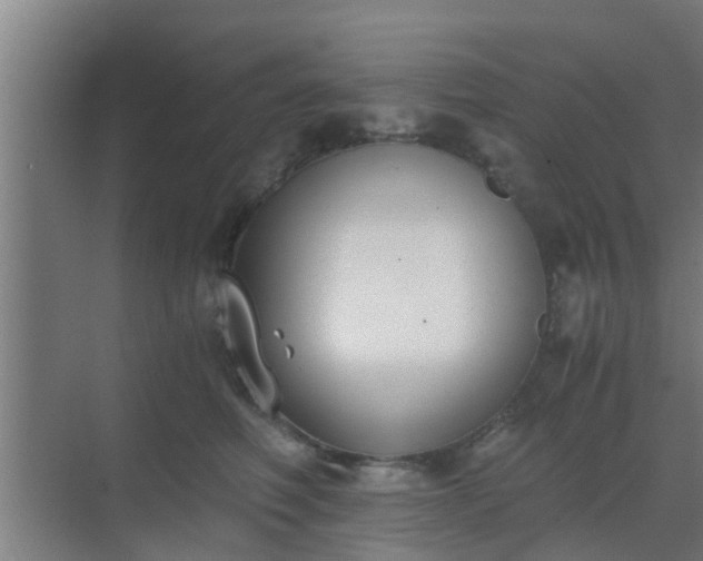 X0000069800614200605261724