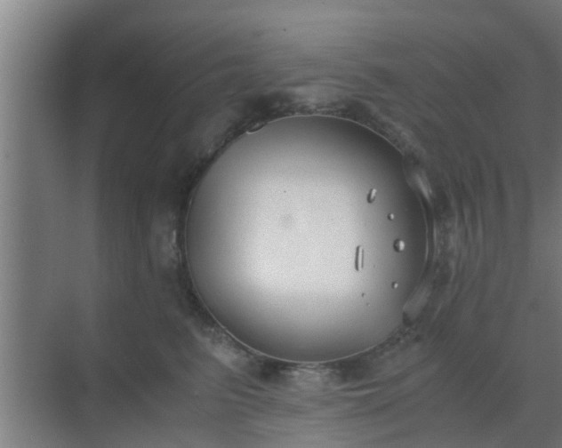 X0000069800615200605261724