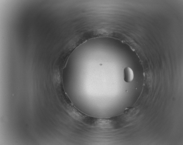 X0000069800617200605261724