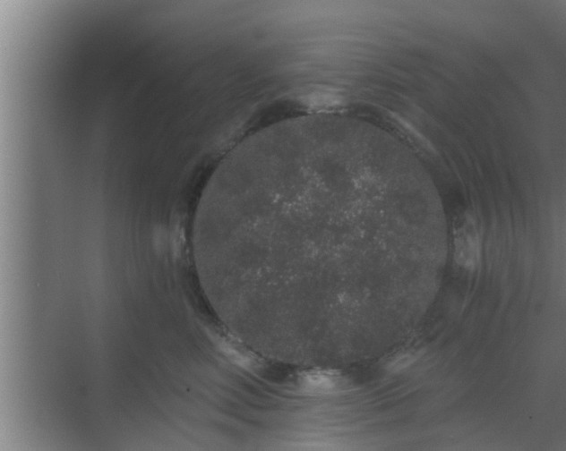 X0000069800618200605261724