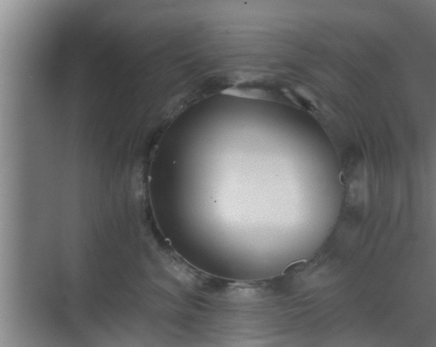 X0000069800620200605261724