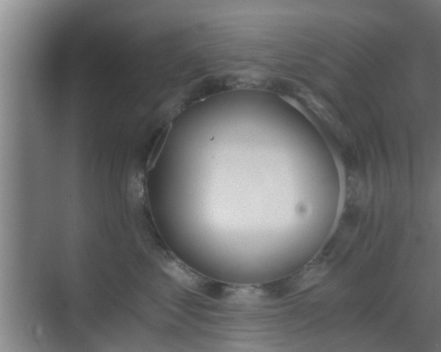 X0000069800621200605261724