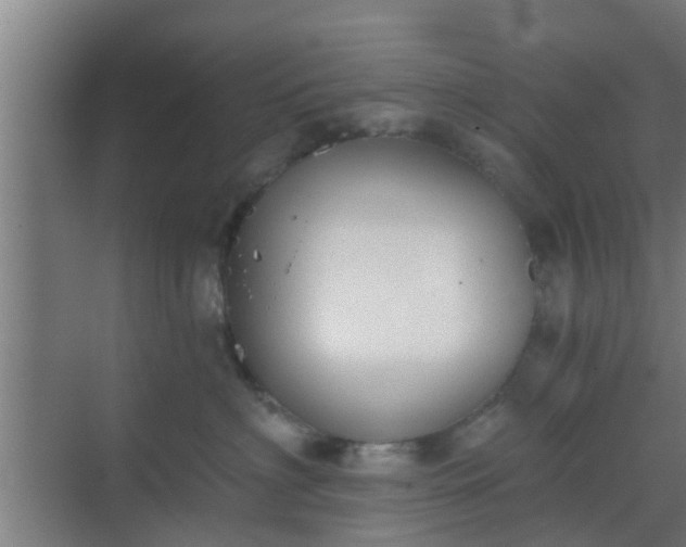 X0000069800622200605261724