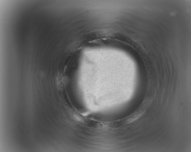 X0000069800624200605261724