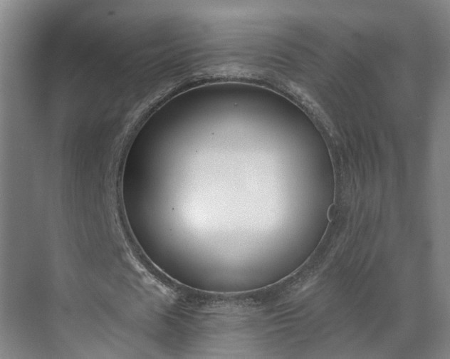 X0000069800625200605261723