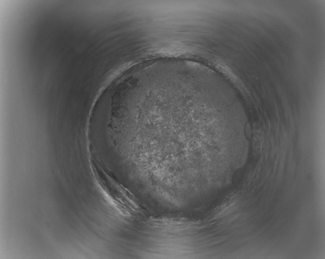 X0000069800626200605261723