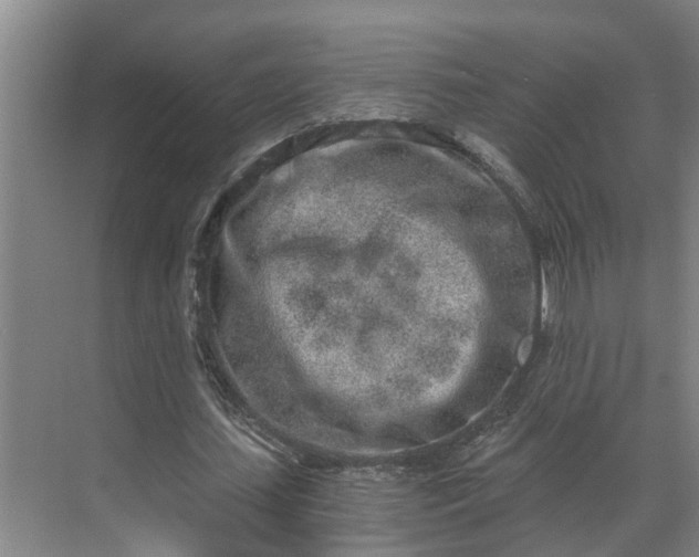 X0000069800627200605261723