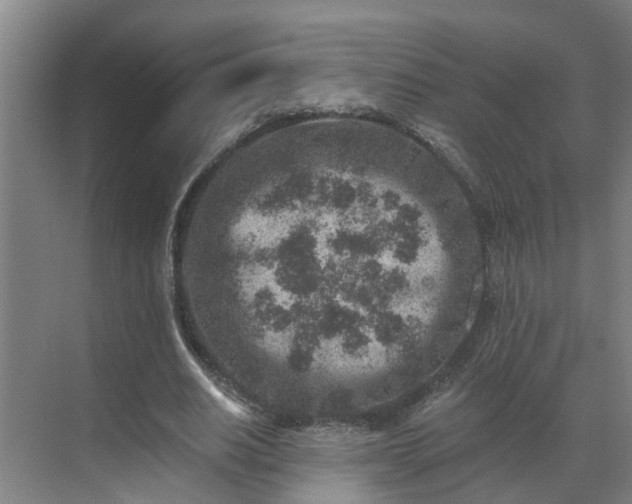 X0000069800630200605261723