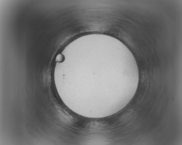 X0000069800632200605261723