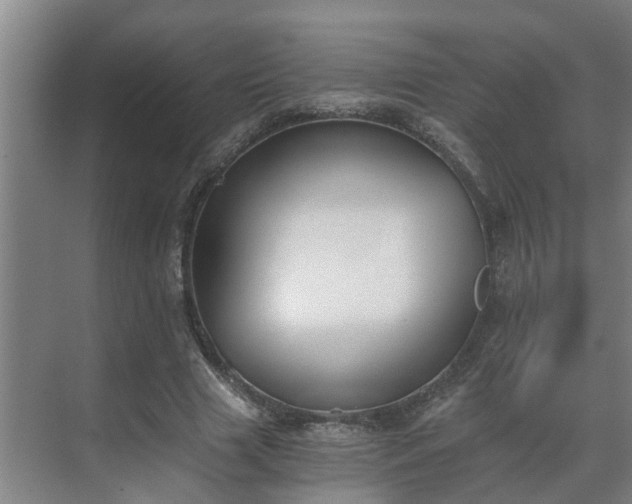 X0000069800633200605261723