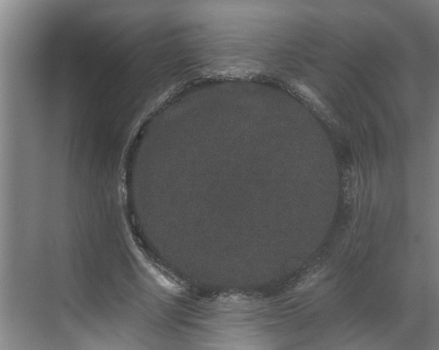 X0000069800634200605261723