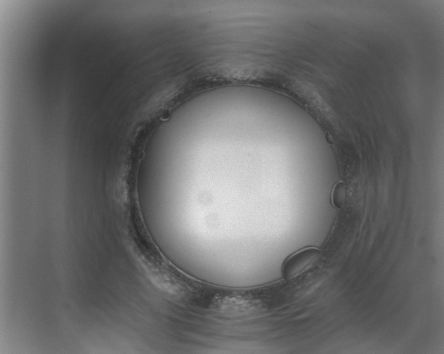 X0000069800635200605261723