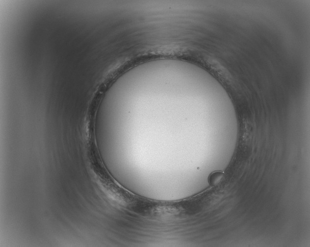 X0000069800636200605261723