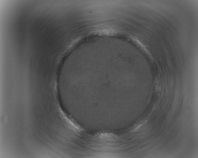 X0000069800637200605261723