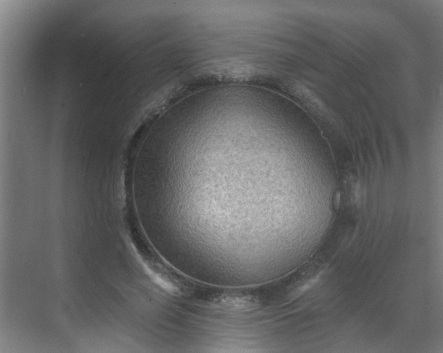 X0000069800638200605261724