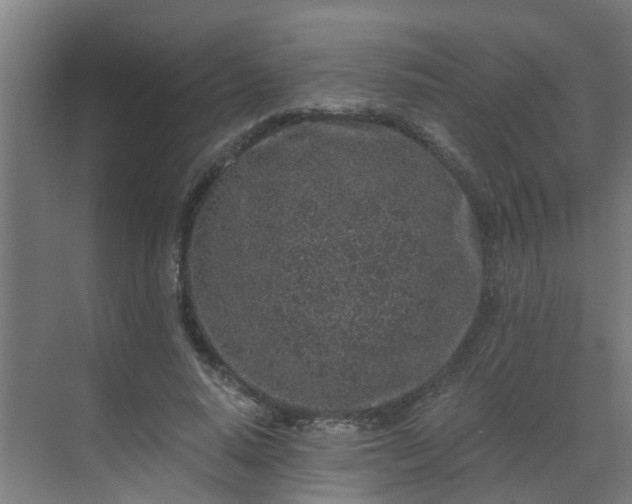 X0000069800640200605261724