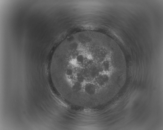 X0000069800641200605261724