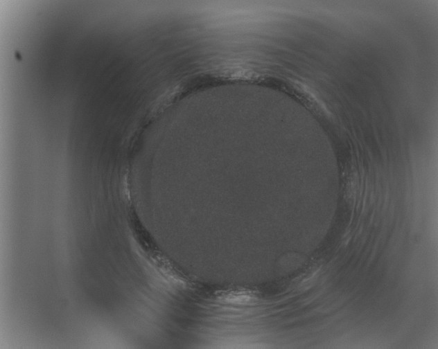 X0000069800643200605261724