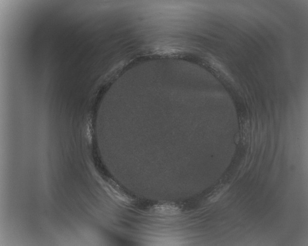 X0000069800644200605261724