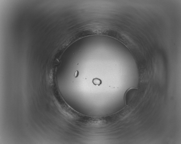 X0000069800646200605261724