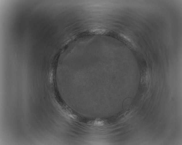 X0000069800647200605261724