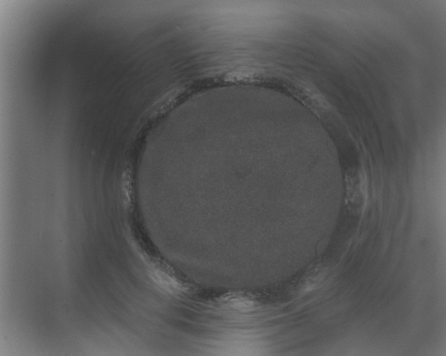 X0000069800648200605261724