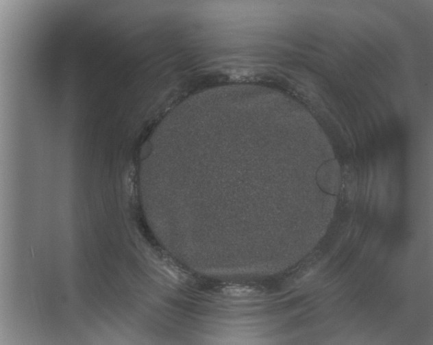 X0000069800650200605261724