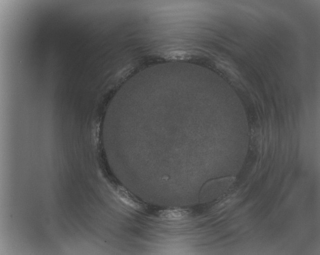 X0000069800652200605261724