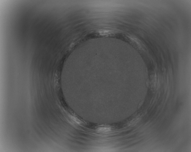 X0000069800653200605261724