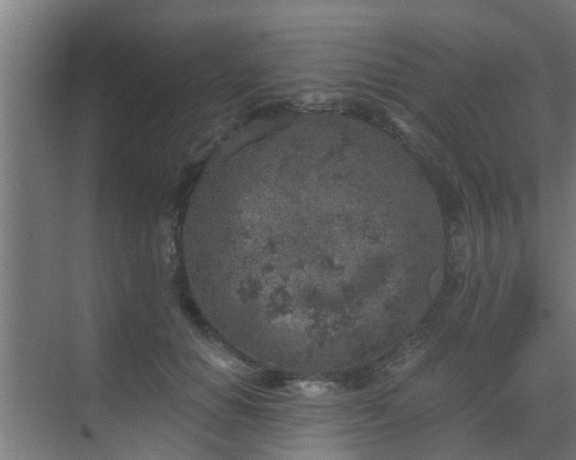 X0000069800654200605261724