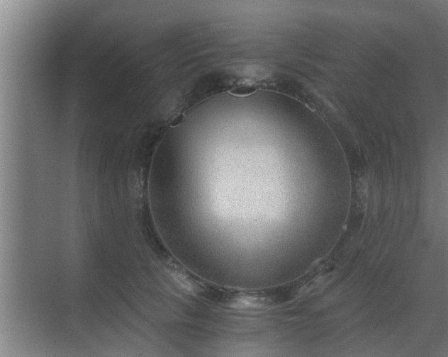 X0000069800657200605261724