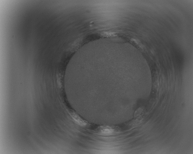 X0000069800658200605261724