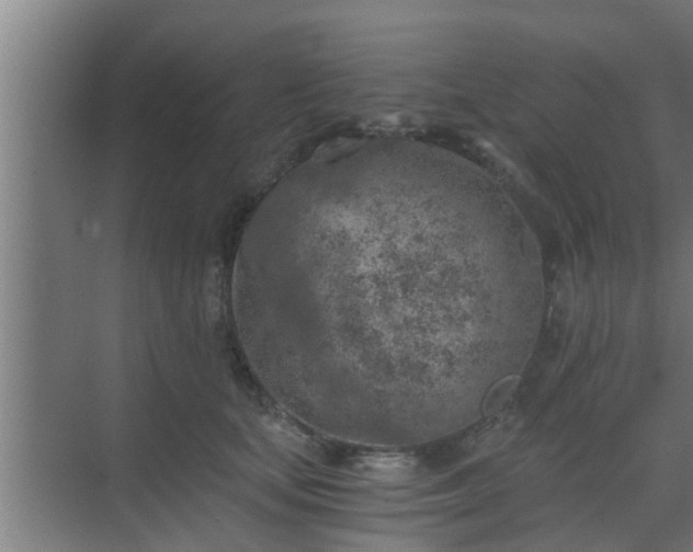 X0000069800659200605261724