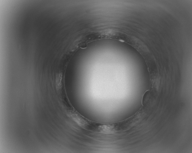 X0000069800660200605261724