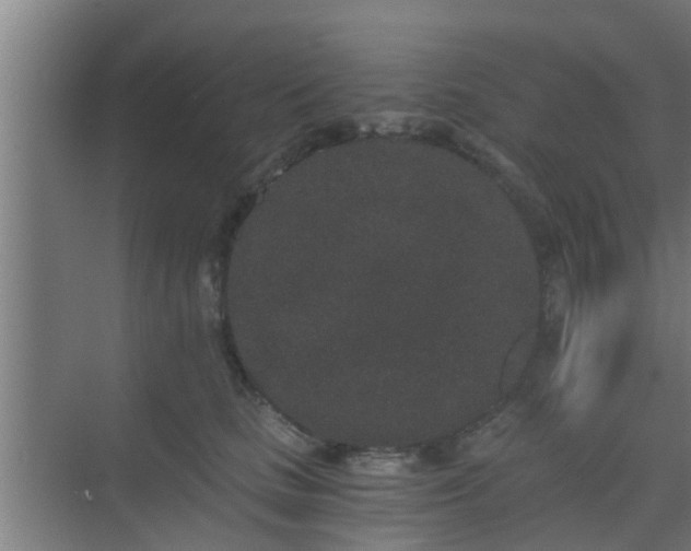 X0000069800661200605261724