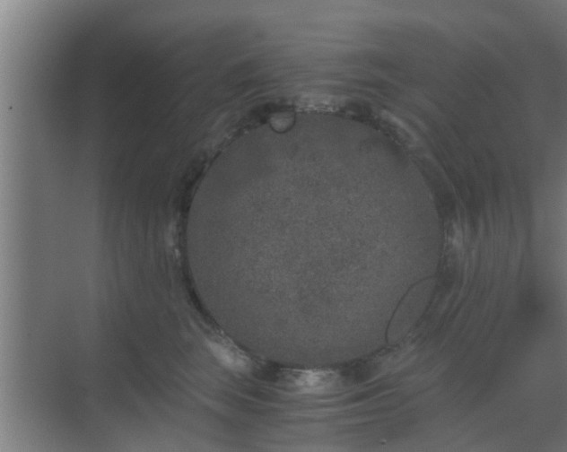 X0000069800663200605261724