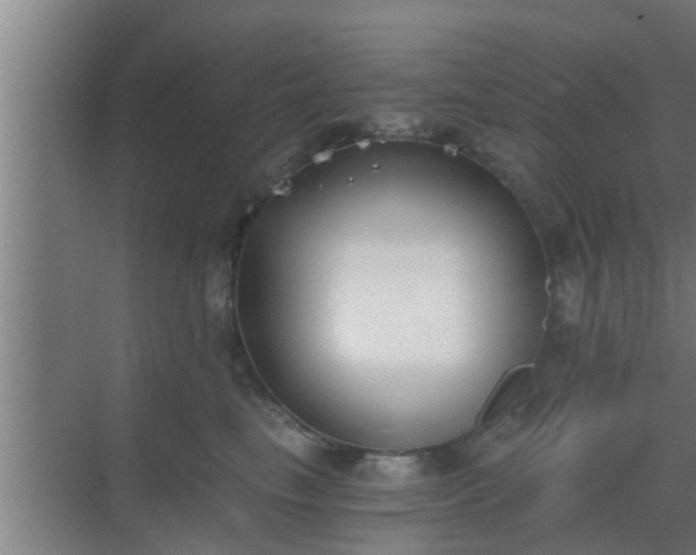 X0000069800665200605261724