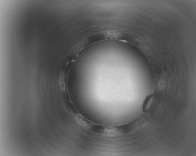 X0000069800666200605261724