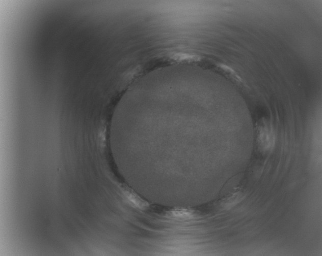 X0000069800668200605261724