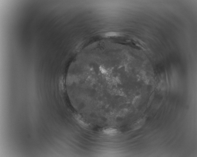 X0000069800669200605261724