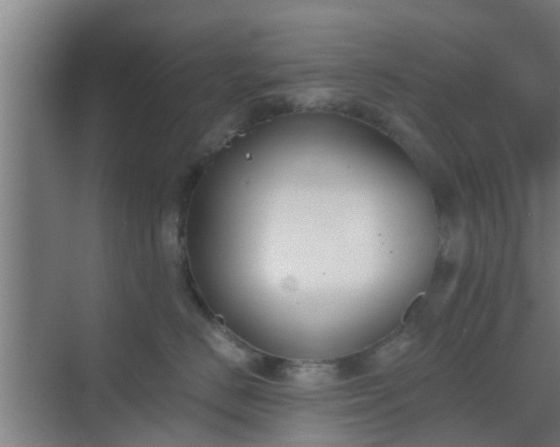 X0000069800670200605261724