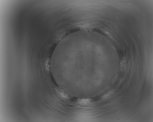 X0000069800671200605261724