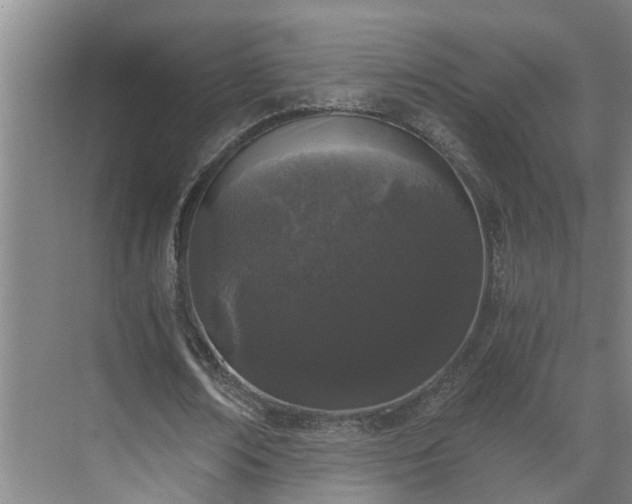 X0000069800674200605261723