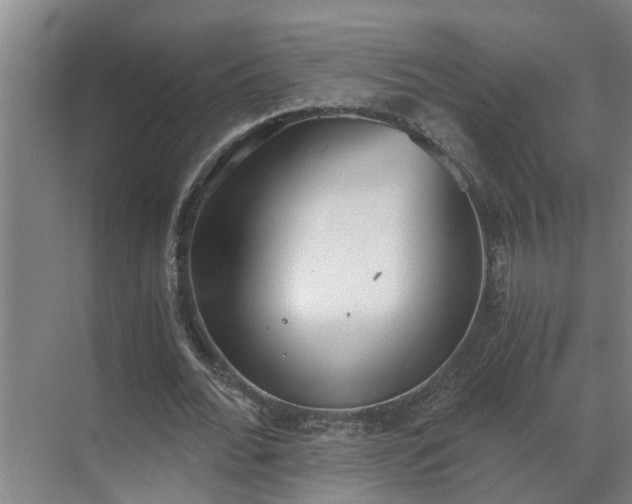 X0000069800676200605261723