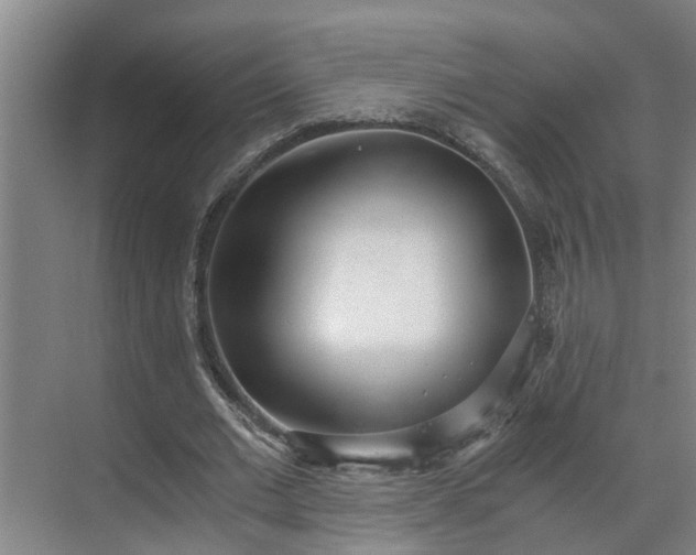 X0000069800677200605261723