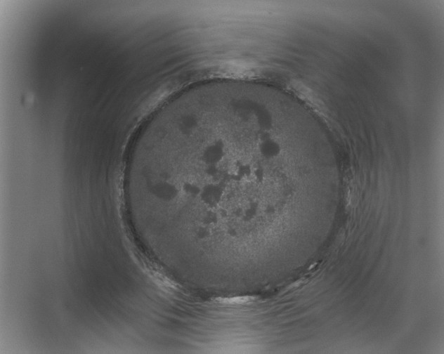 X0000069800679200605261723